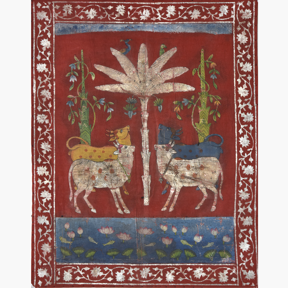 Celestial Cows - 1 Pichwai around lotus pond tree